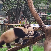 фото из отзыва ID 2742945