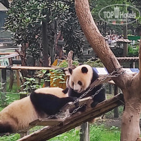 фото из отзыва ID 2742945