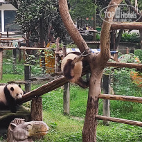 фото из отзыва ID 2742945