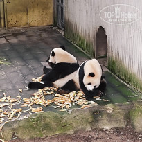 фото из отзыва ID 2742945