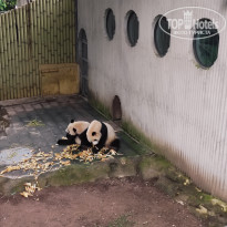 фото из отзыва ID 2742945