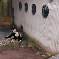 фото из отзыва ID 2742945