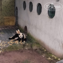 фото из отзыва ID 2742945