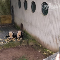 фото из отзыва ID 2742945