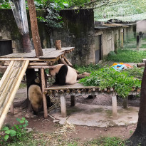 фото из отзыва ID 2742945