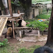 фото из отзыва ID 2742945