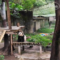 фото из отзыва ID 2742945