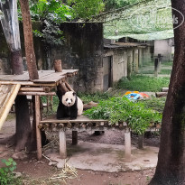 фото из отзыва ID 2742945