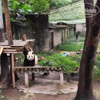 фото из отзыва ID 2742945