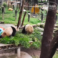 фото из отзыва ID 2742945