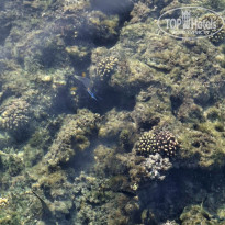 фото из отзыва ID 2742950