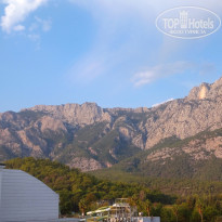 фото из отзыва ID 2742904