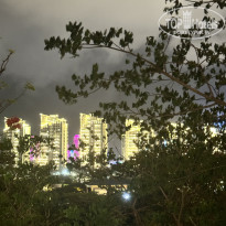 фото из отзыва ID 2742956