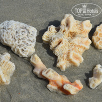 фото из отзыва ID 2742960