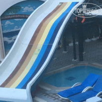 фото из отзыва ID 2742965