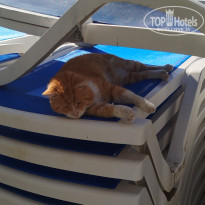 фото из отзыва ID 2742967