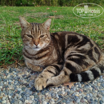 фото из отзыва ID 2742967