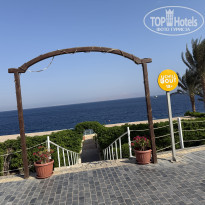 фото из отзыва ID 2742995