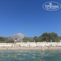 фото из отзыва ID 2743007