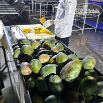 фото из отзыва ID 2743016