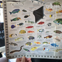 фото из отзыва ID 2743016