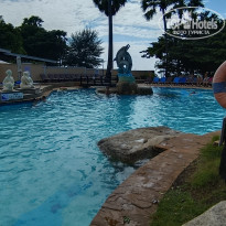 фото из отзыва ID 2743018