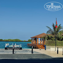 фото из отзыва ID 2743022