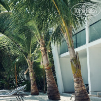 фото из отзыва ID 2743022