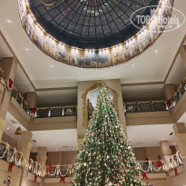 фото из отзыва ID 2743026