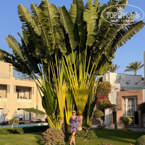 фото из отзыва ID 2743034