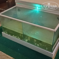 фото из отзыва ID 2743044