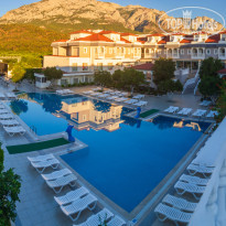 фото из отзыва ID 2743044