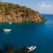 фото из отзыва ID 2743044