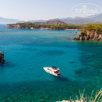 фото из отзыва ID 2743044