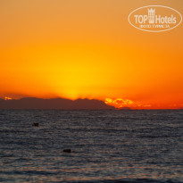 фото из отзыва ID 2743044