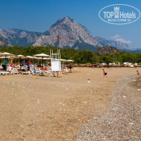 фото из отзыва ID 2743044