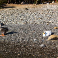 фото из отзыва ID 2743044