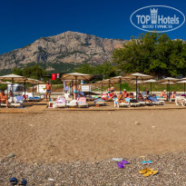 фото из отзыва ID 2743044