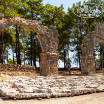 фото из отзыва ID 2743044