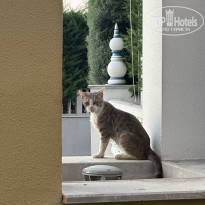 фото из отзыва ID 2743061