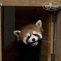 фото из отзыва ID 2743057