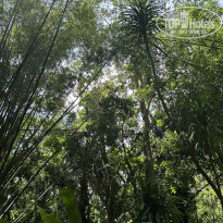 фото из отзыва ID 2743057