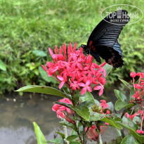 фото из отзыва ID 2743057