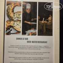 фото из отзыва ID 2743065