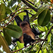 фото из отзыва ID 2743065