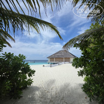 фото из отзыва ID 2743065