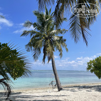 фото из отзыва ID 2743080