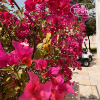 фото из отзыва ID 2743095