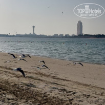 фото из отзыва ID 2743095