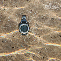 фото из отзыва ID 2743096